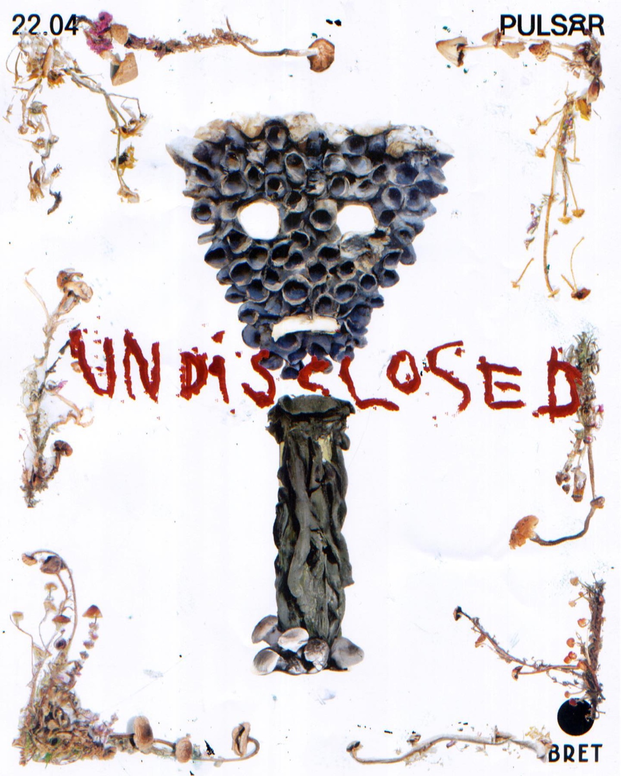the BRET announcement: dried mushrooms and botanicals scanned into a figure, UNDISCLOSED painted in red